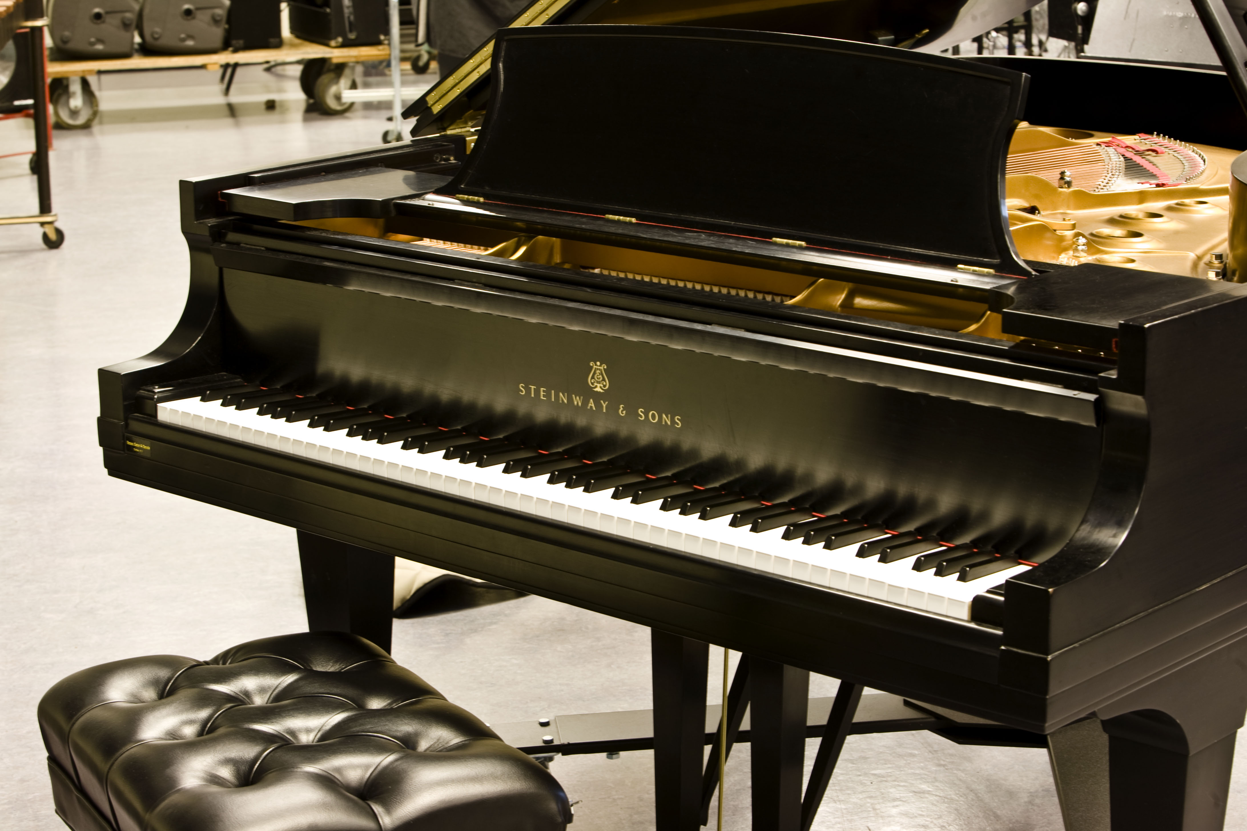 Piano de Concierto Steinway & Sons Grand Piano